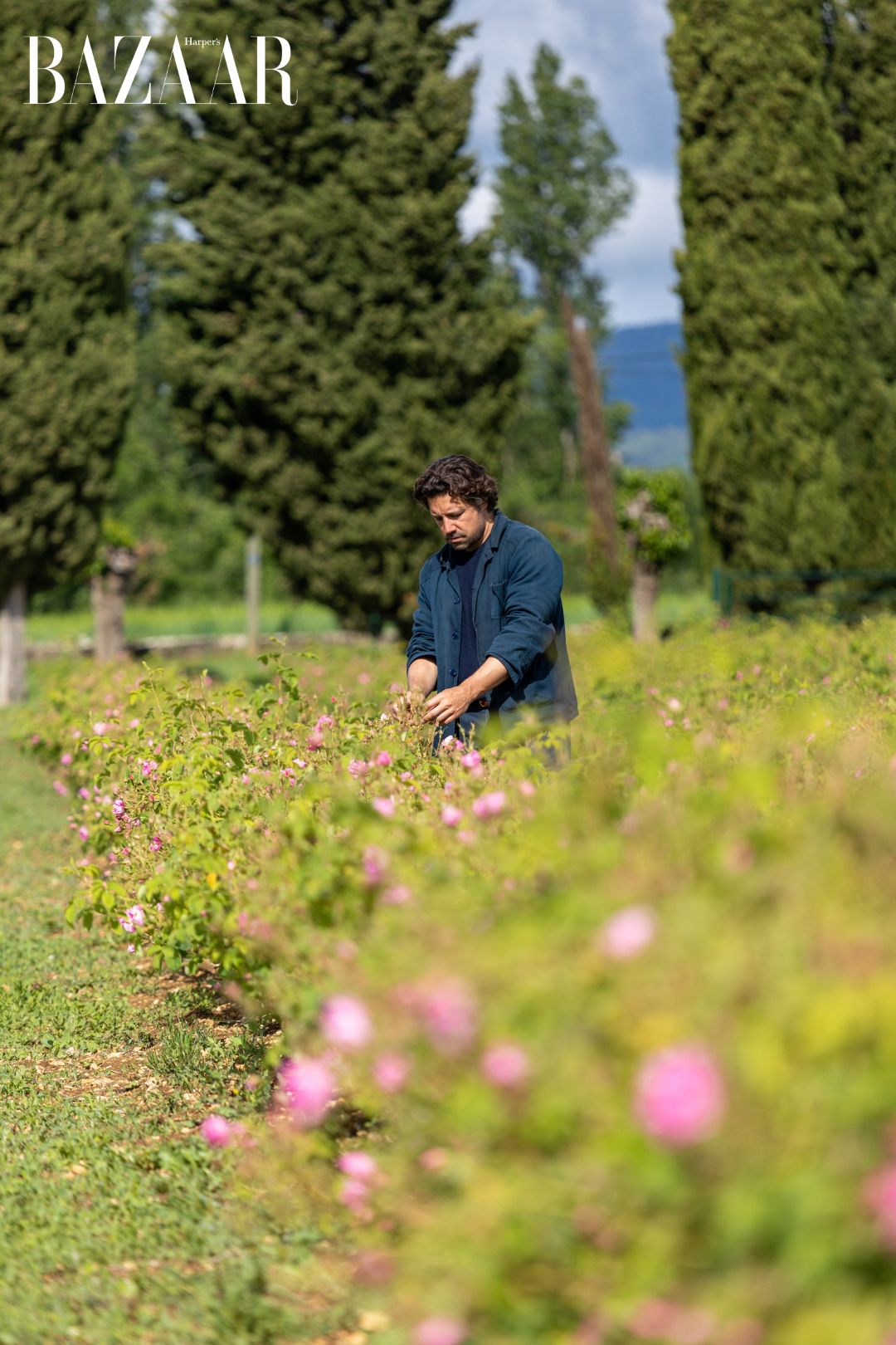 Những cánh đồng thơm nồng mùi Hoa hồng tháng Năm - Image Event Những cánh đồng thơm nồng mùi Hoa hồng tháng Năm - Image Event