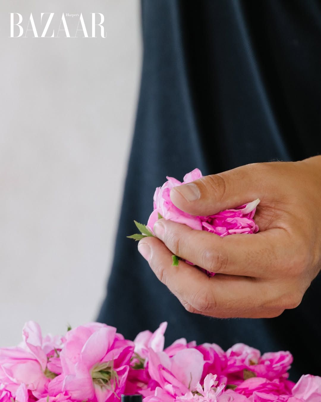 Tính nhất quán đã trở thành đặc trưng của Matière Première - Image Event Tính nhất quán đã trở thành đặc trưng của Matière Première - Image Event