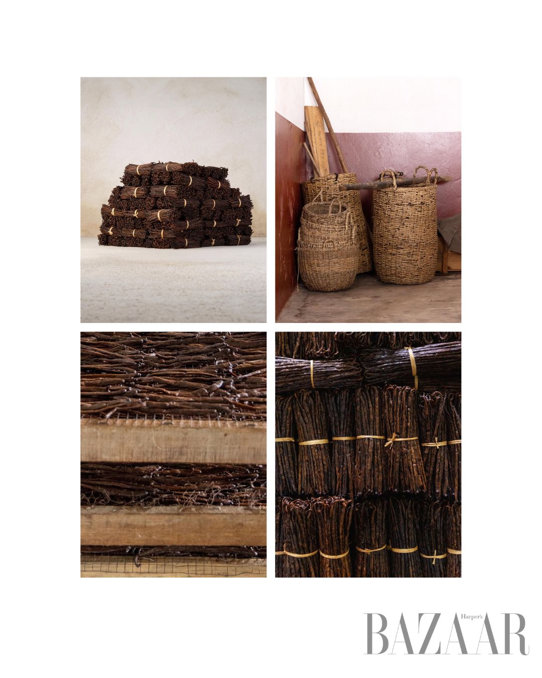 Quá trình thu hoạch vanilla của Matiere Premiere - Image Event Quá trình thu hoạch vanilla của Matiere Premiere - Image Event