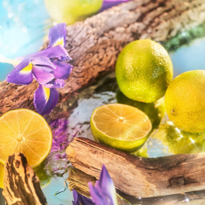 Oceania EDP | Parfum - Image Paradise Duet - Isola Collection | ROJA - VRGaleries