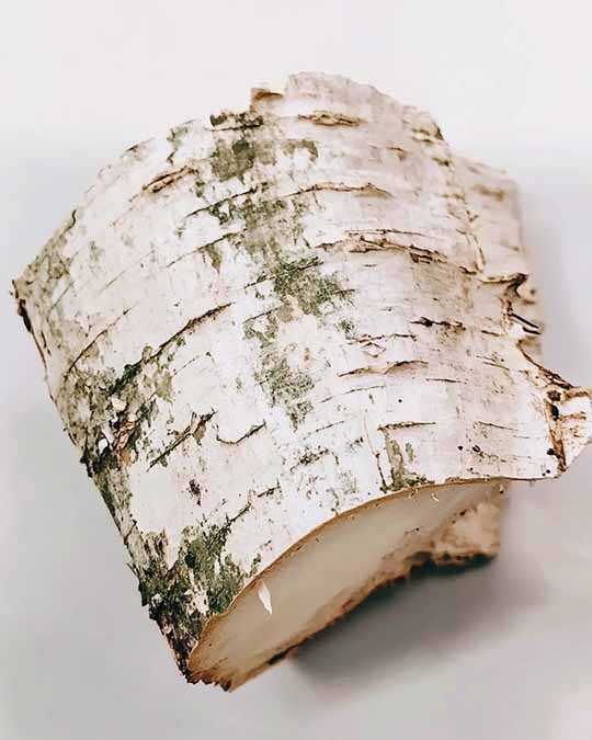 Falcon Leather - Extrait de Parfum | Matiere Premiere - Image Birch Tar