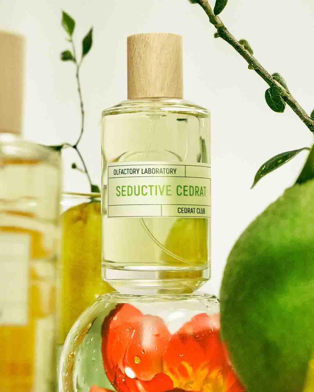 Seductive Cedrat | Imaginarium | Liquides Imaginaires - Image Banner Sweetness Citron