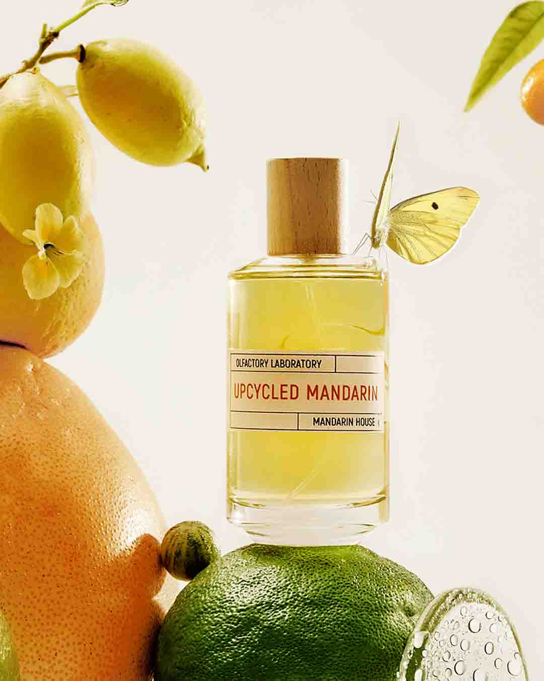 Upcycled Mandarin | Imaginarium | Liquides Imaginaires - Image Banner Vibrant Citrusy