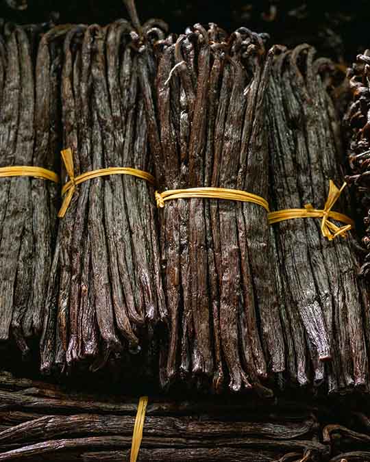 Vanilla Powder - Extrait de Parfum | Matiere Premiere - Image Vanilla Absolute Madagascar