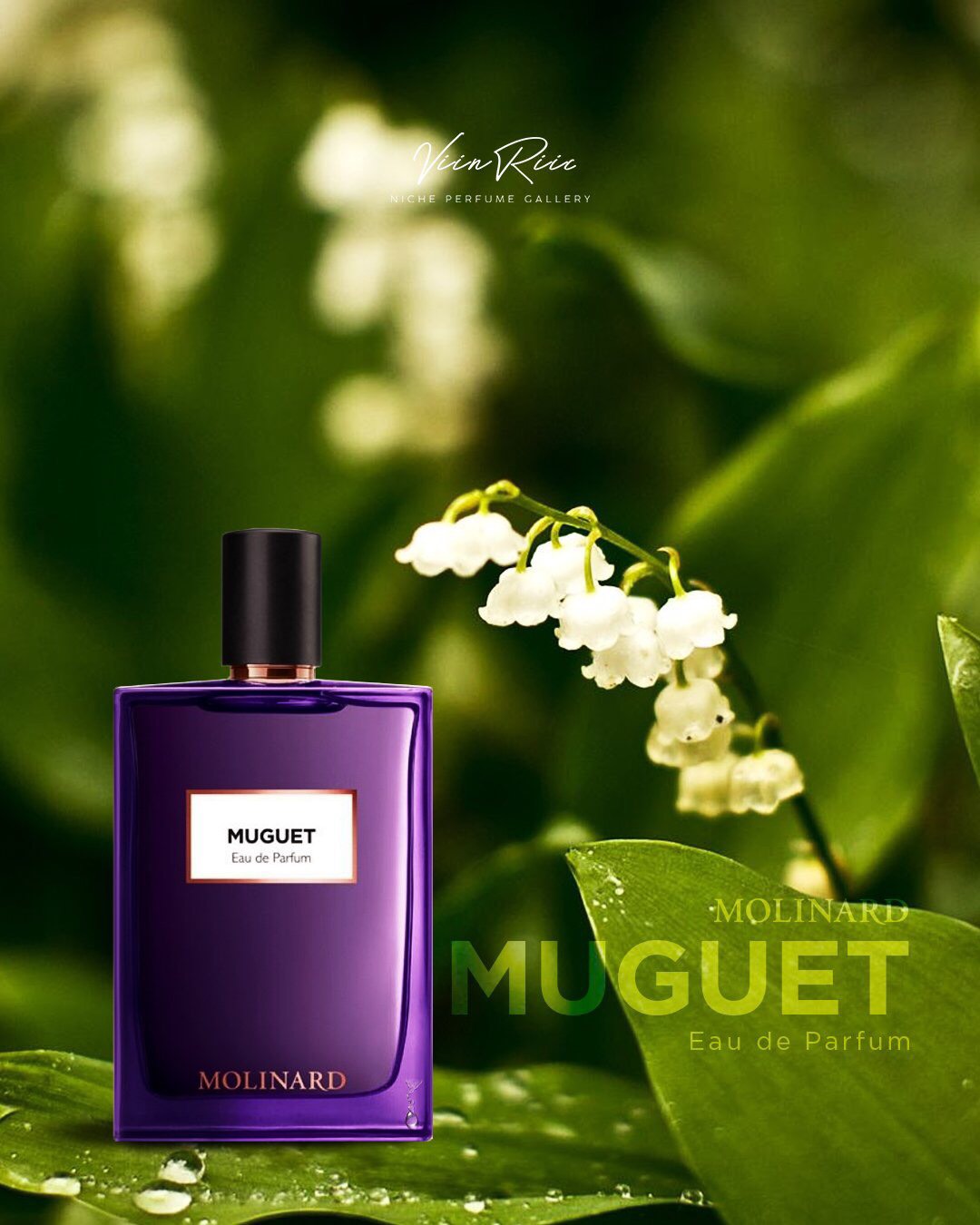 May - The Month of the Scent of Luck