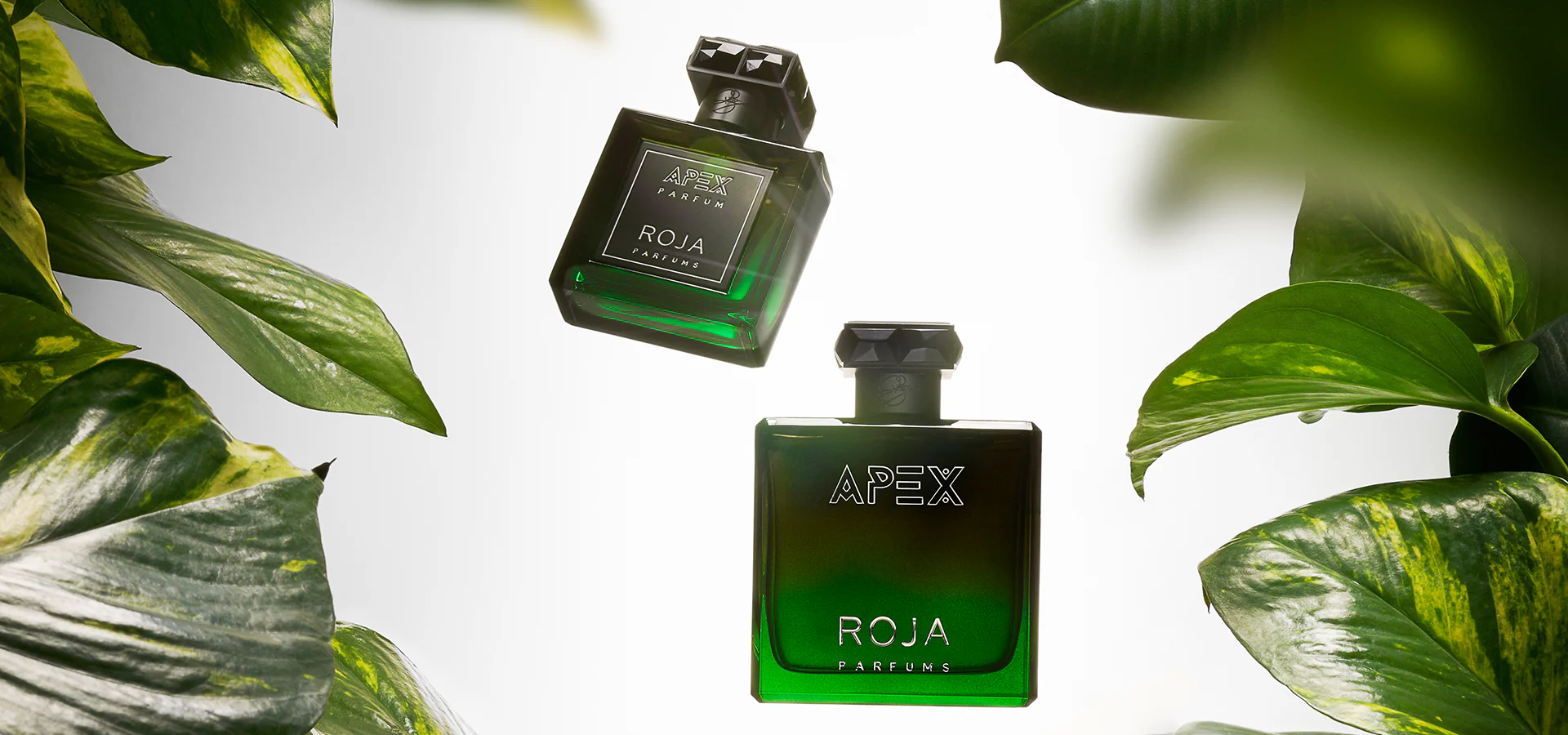 Apex Pour Homme Eau de Parfum Collection - ROJA