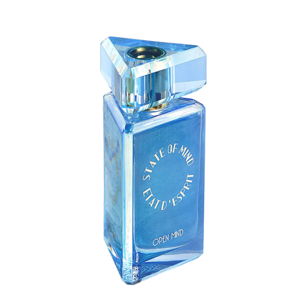 Open Mind Perfume 100ml State of Mind - VRGaleries