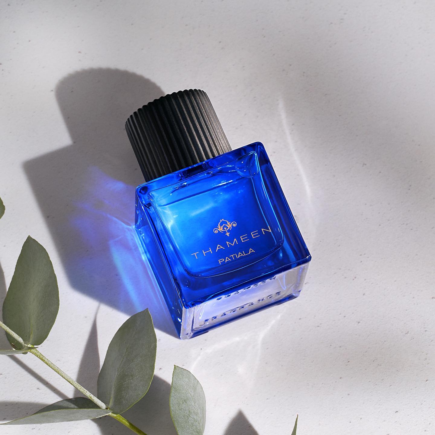 Patiala Treasure Collection Thameen Image Banner