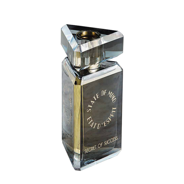 Secret of Success Perfume 100ml State of Mind - VRGaleries