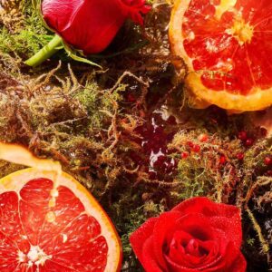 A Midsummer Dream EDP - Image Banner Lemon-Rose de Mai - Art Collection | ROJA - VRGaleries