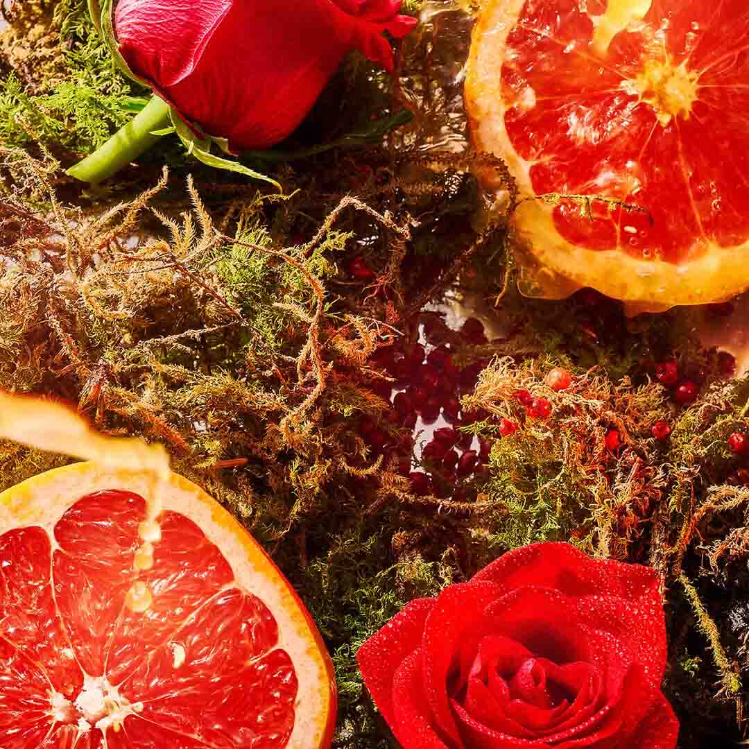 ROJA | Art Collection - A Midsummer Dream EDP - Image Banner Lemon-Rose de Mai A Midsummer Dream EDP - Image Banner Lemon-Rose de Mai - Art Collection | ROJA - VRGaleries