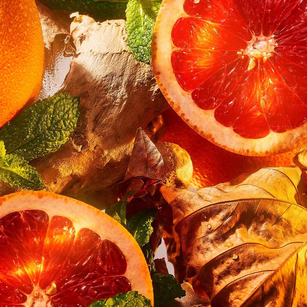 ROJA | Art Collection - Burlington 1819 EDP - Image Banner Grapefruit-Lime Burlington 1819 EDP - Image Banner Grapefruit-Lime - Art Collection | ROJA - VRGaleries