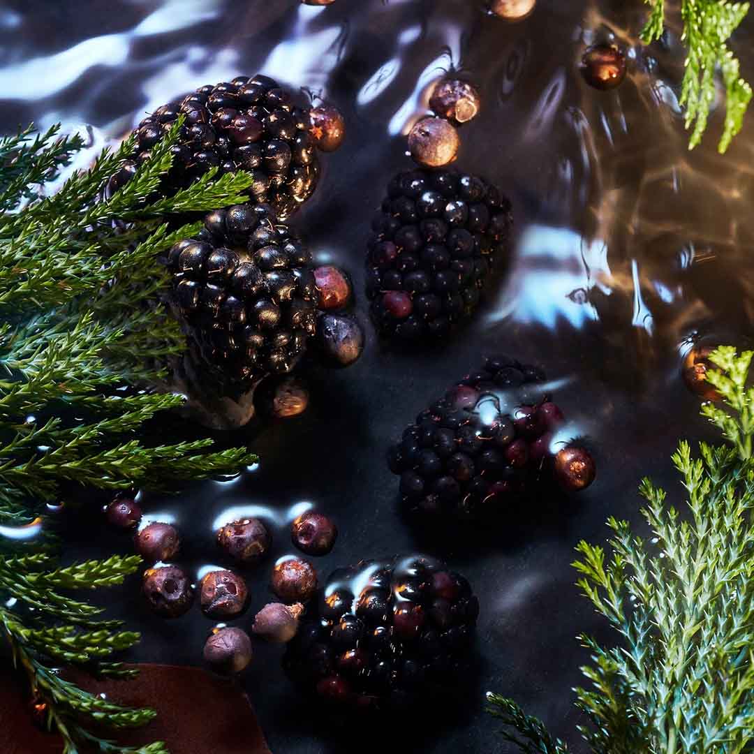 ROJA | Elysium Collection - Elysium Noir - Image Banner Blackberry Elysium Noir - Image Banner Blackberry - Elysium Collection | ROJA - VRGaleries