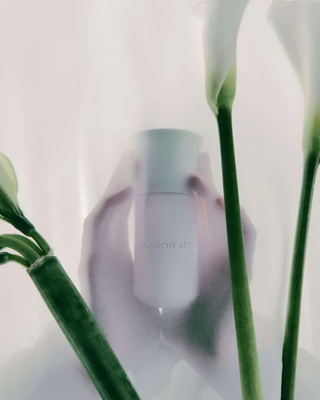 Blanche Bête Limited Edition - Les Eaux de Peau | Liquides Imaginaires - Image Banner White Flower and Opaline Light
