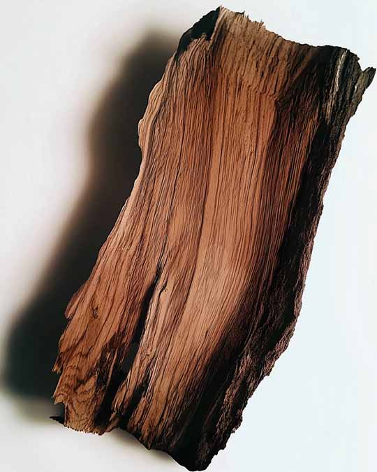 Bois D'Ébènne - Eau de Parfum | Matiere Premiere - Image Brazilian Cabreuva Woods