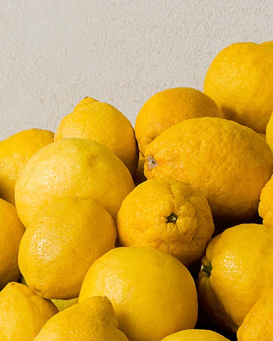 Cologne Cédrat - Eau de Parfum | Matiere Premiere - Image The Scent of Citron