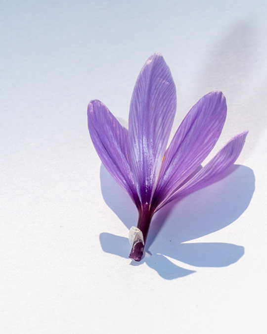 Crystal Saffron - Eau de Parfum | Matiere Premiere - Image Saffron Greek