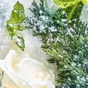 Isola Snow Parfum - Image Snow Ingredients - Isola Collection | ROJA - VRGaleries