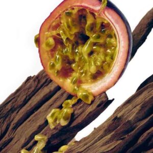 Oud Passionfruit - Image Passionfruit Woods - Extrait de Parfum | Sensxsent - VRGaleries