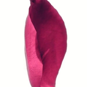 Rose Bourbon Coffee - Image Rose - Extrait de Parfum | Sensxsent - VRGaleries