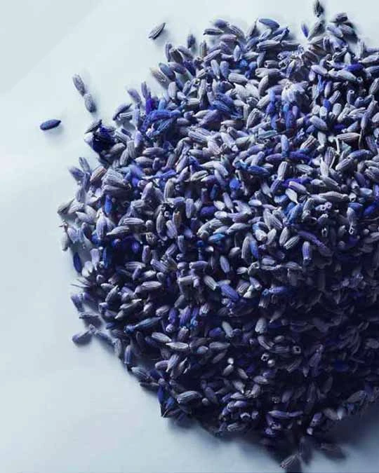 image-banner-matiere-premiere-lavandin-oil-from-plants