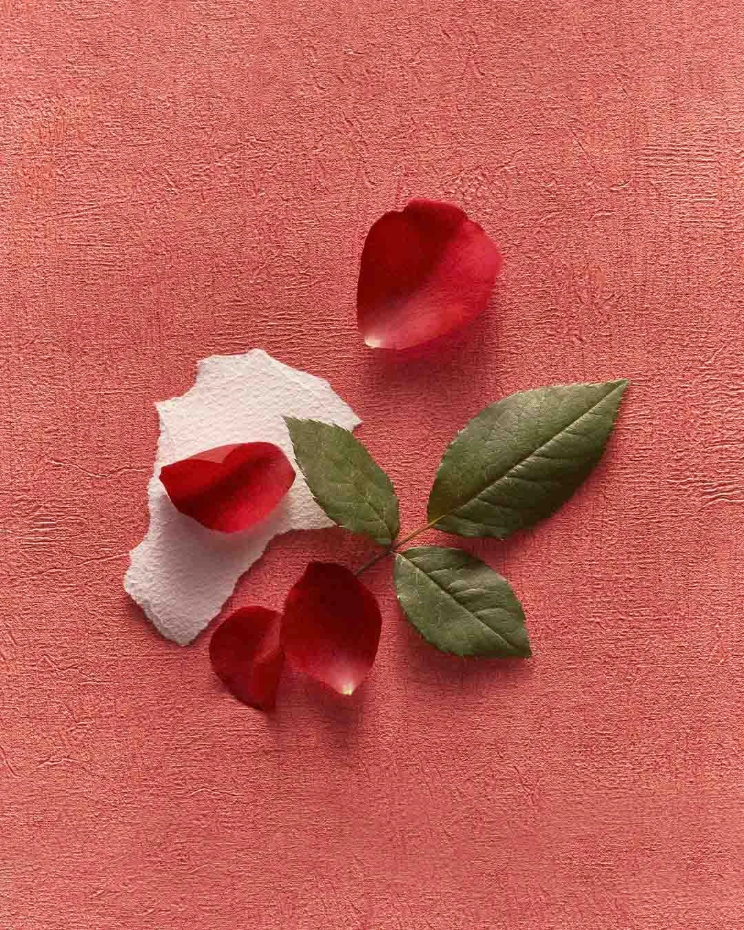 ROJA | Art Collection - NuWa EDP - Image the Breahted Scent into Flowers NuWa EDP - Image the Breathed Scent into Flowers - Art Collection | ROJA - VRGaleries