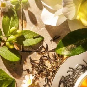 Serenity Blend EDP - Image Timeless Ritual of Tea - Art Collection | ROJA - VRGaleries