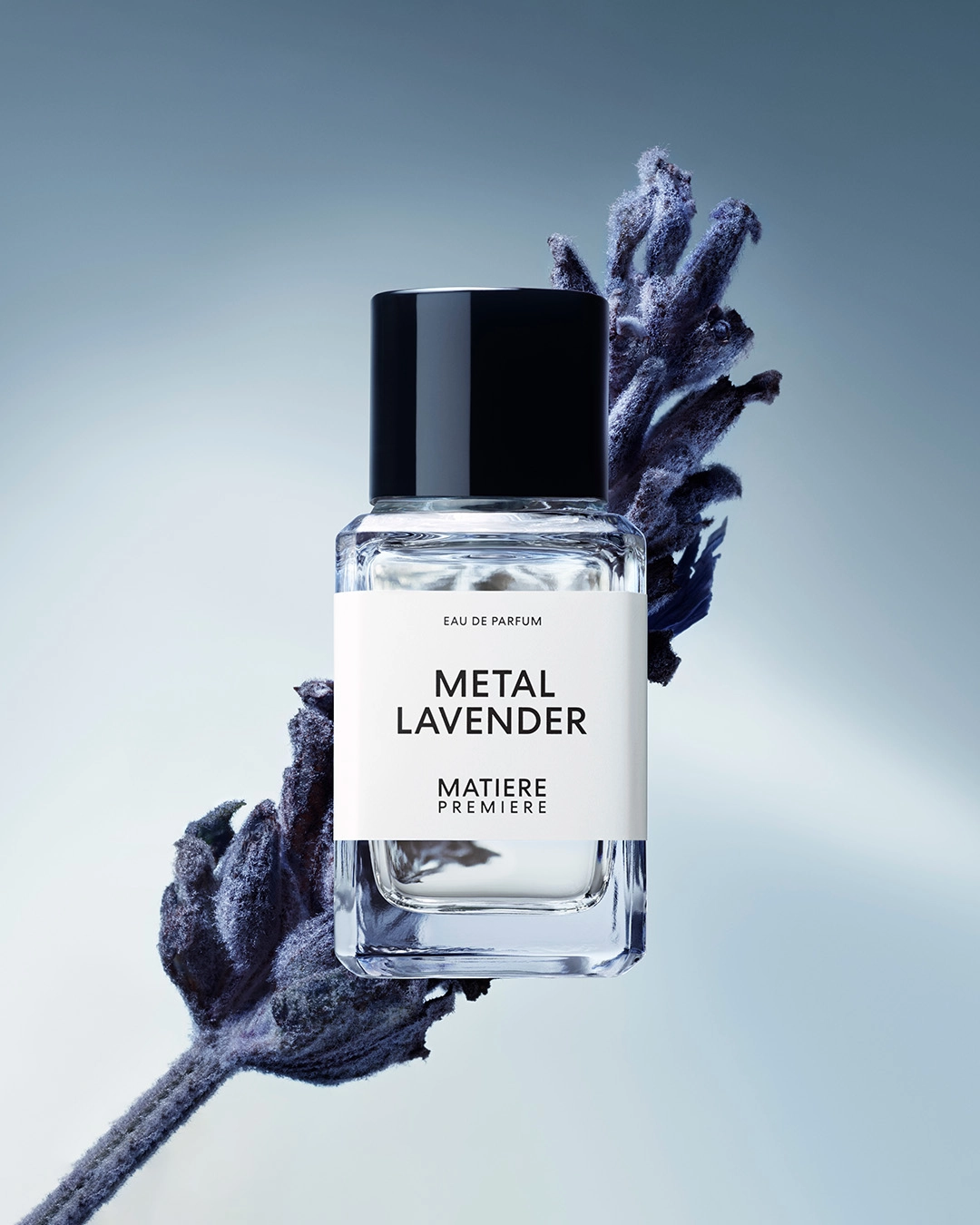 image-banner-matiere-premiere-metal-lavender-edp-lavandin-from-grasse