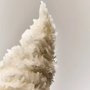 sensxsent-rice-ice-cream-edp-ice-notes
