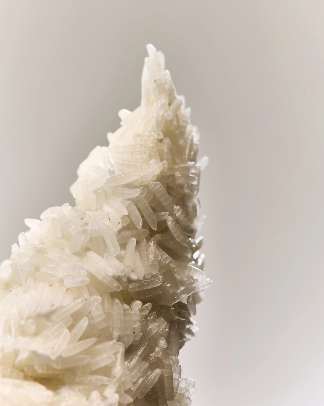 sensxsent-rice-ice-cream-edp-ice-notes